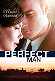 A Perfect Man (2013) Free Movie