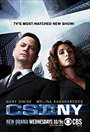 CSI: NY (20042013) Free Tv Series