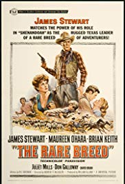 The Rare Breed (1966) M4uHD Free Movie