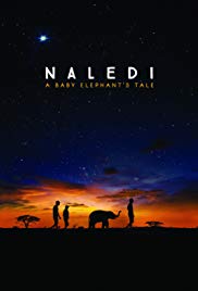 Naledi: A Baby Elephants Tale (2016) M4uHD Free Movie
