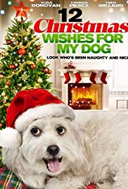 12 Wishes of Christmas (2011) Free Movie