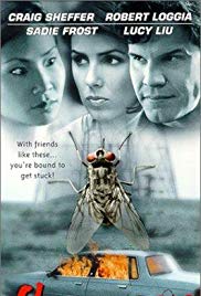 Flypaper (1999) Free Movie