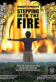  Stepping Into the Fire 2011 Free Movie