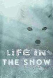 Life in the Snow (2016) M4uHD Free Movie