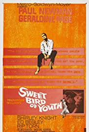 Sweet Bird of Youth (1962) Free Movie M4ufree