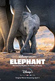 Elephant (2020) M4uHD Free Movie
