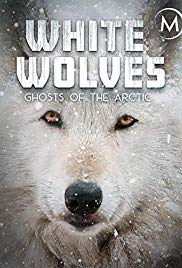 White Wolves: Ghosts of the Arctic (2017) Free Movie M4ufree