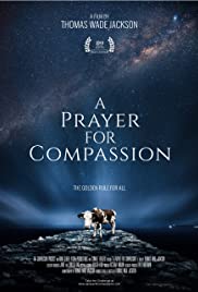 A Prayer for Compassion (2019) Free Movie M4ufree