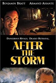 After the Storm (2001) Free Movie