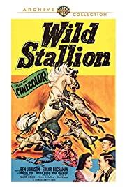 Wild Stallion (1952) Free Movie