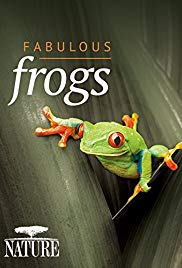 Fabulous Frogs (2014) Free Movie