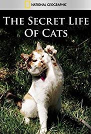 The Secret Life of Cats (2014) Free Movie