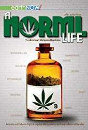 A Norml Life (2011) Free Movie