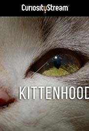 Kittenhood (2015) Free Movie M4ufree