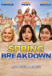 Spring Breakdown (2009) Free Movie