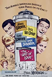 The Art of Love (1965) Free Movie
