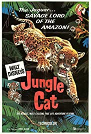 Jungle Cat (1960) Free Movie