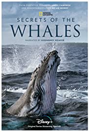 Secrets of the Whales (2021) Free Tv Series