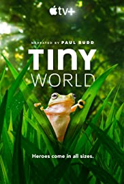 Tiny World (2020 ) Free Tv Series