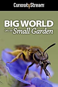 Big World in a Small Garden (2016) M4uHD Free Movie