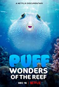Puff Wonders of the Reef (2021) Free Movie M4ufree