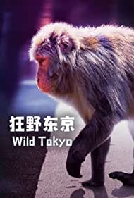Wild Tokyo (2020) Free Movie M4ufree