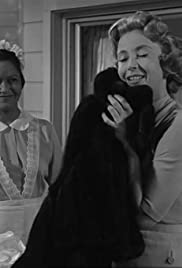 Mrs. Bixby and the Colonels Coat (1960) Free Movie