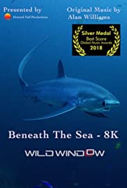 Wild Window: Beneath the Sea (2018) M4uHD Free Movie