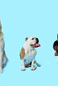How Dogs Got Their Shapes (2016) M4uHD Free Movie