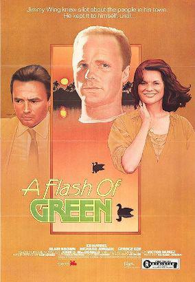 A Flash of Green (1984) Free Movie