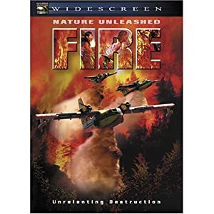 Fire (2004) Free Movie