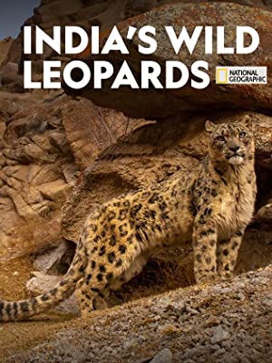 Indias Wild Leopards (2020) M4uHD Free Movie