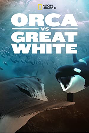 Orca vs. Great White (2021) M4uHD Free Movie