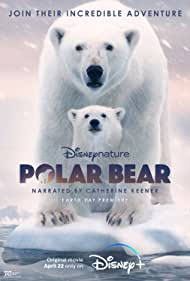 Polar Bear (2022) M4uHD Free Movie