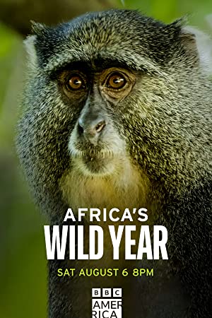 Africas wild year (2021) M4uHD Free Movie