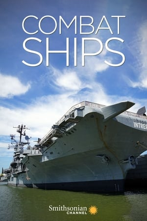 Combat Ships (2017-2022) M4uHD Free Movie