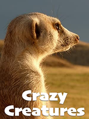 Crazy Creatures (2018) M4uHD Free Movie