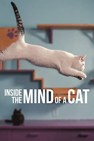 Inside the Mind of a Cat (2022) Free Movie M4ufree