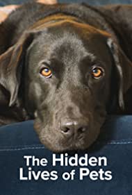 The Hidden Lives of Pets (2022) Free Tv Series