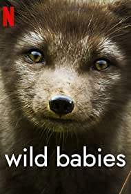 Wild Babies (2022-) Free Tv Series