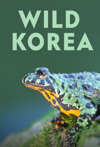 Wild Korea 2022 M4uHD Free Movie