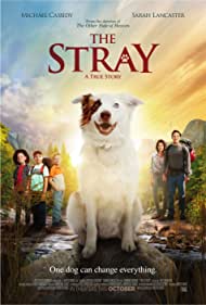 The Stray (2017) M4uHD Free Movie