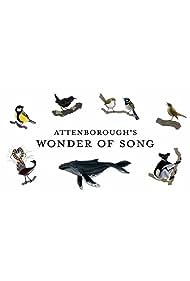 Attenboroughs Wonder of Song (2022) Free Movie
