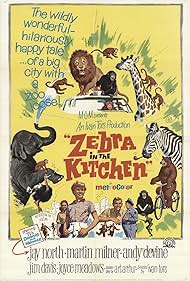 Zebra in the Kitchen (1965) Free Movie M4ufree