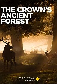 The Crowns Ancient Forest (2021) Free Movie