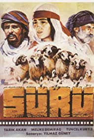 The Herd (1978) Free Movie