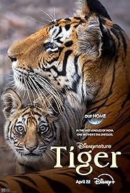 Tiger (2024) M4uHD Free Movie