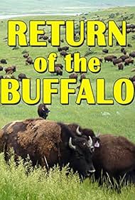 The Return of the Buffalo Restoring the Great American Prairie (2008) Free Movie M4ufree