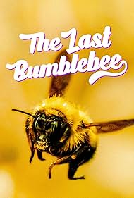 The Last Bumblebee (2024) Free Movie M4ufree