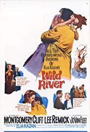 Wild River (1960) Free Movie